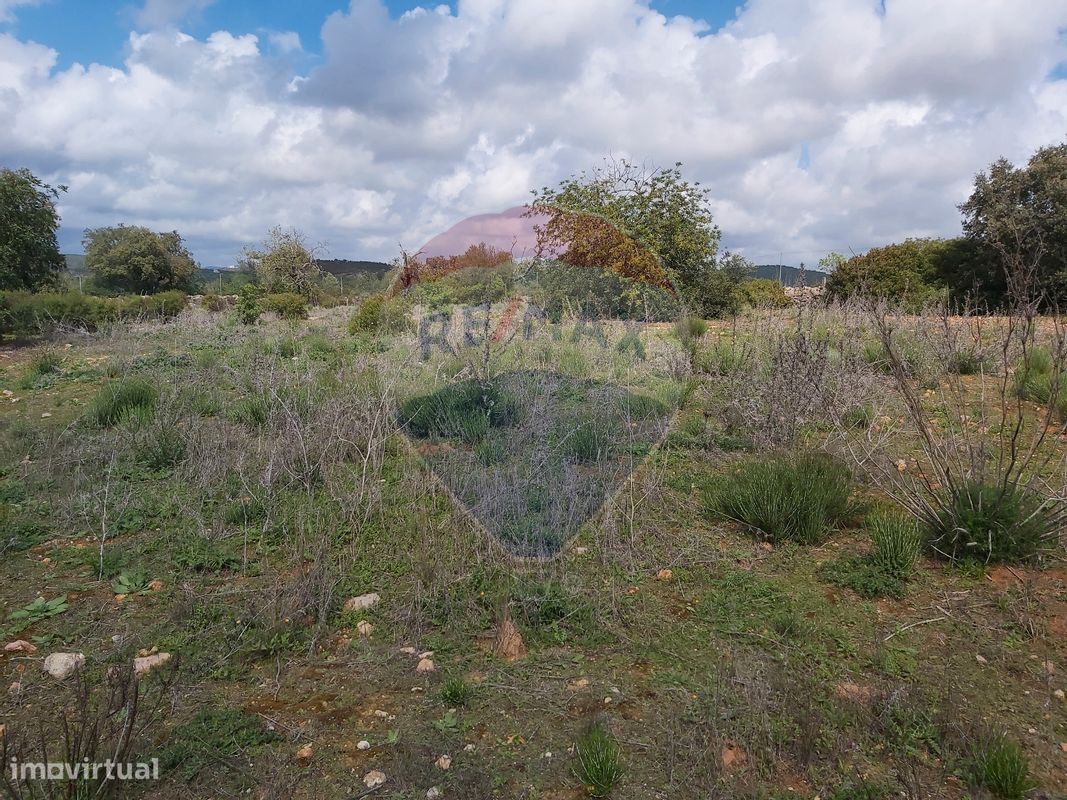 7360m² Land in Olhao, Portugal No. 43845