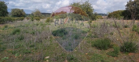 7360m² Land in Olhao, Portugal No. 43845 10