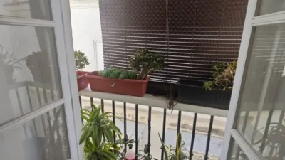 Apartamento de 3 dormitorios en Cádiz, Spain No. 266821