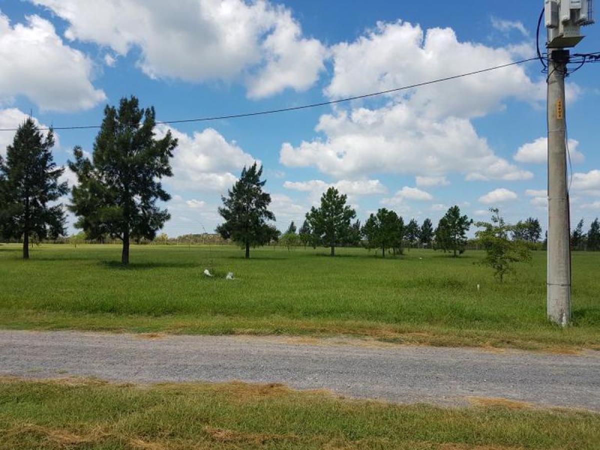 Terreno em San Vicente, Argentina N.º 45630