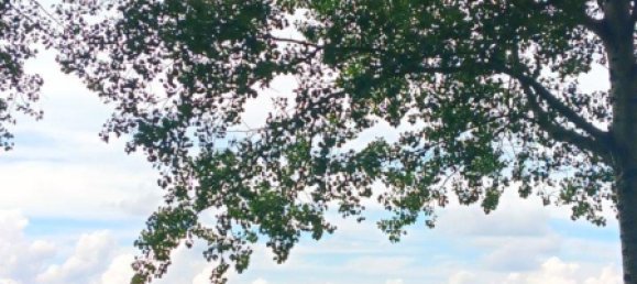 Квартира с 1 спальней в Фюрт, Германия № 235811 8