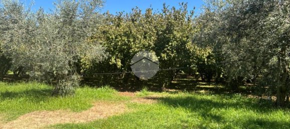 Terrain à Gallese, Italy 44010m² No. 371404 12