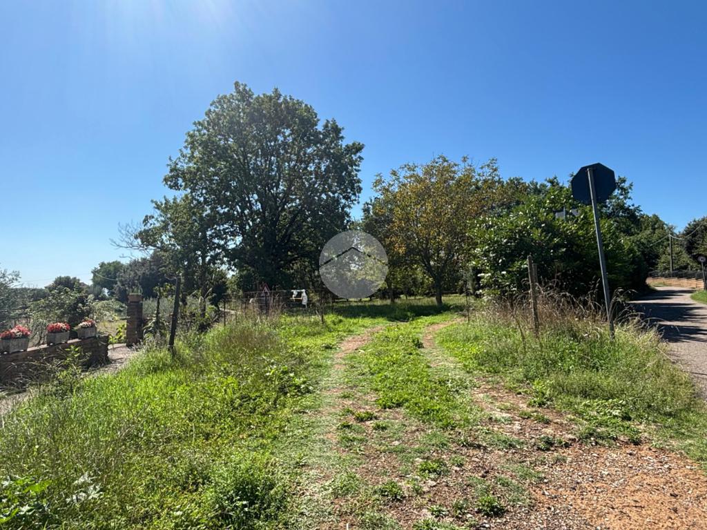 Terrain à Gallese, Italy 44010m² No. 371404