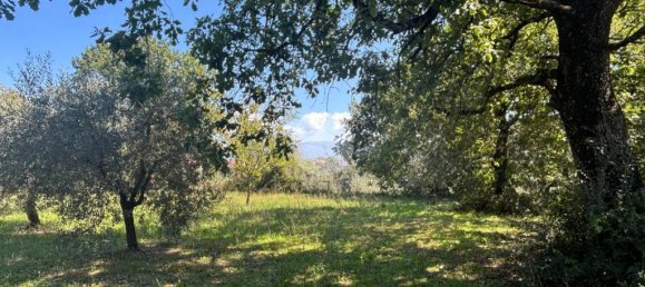 Terrain à Gallese, Italy 44010m² No. 371404 3