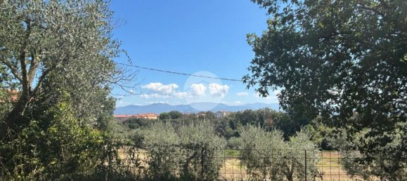 Terrain à Gallese, Italy 44010m² No. 371404 2