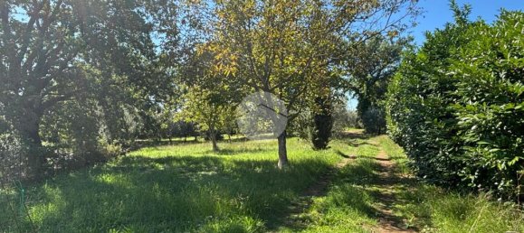 Terrain à Gallese, Italy 44010m² No. 371404 6