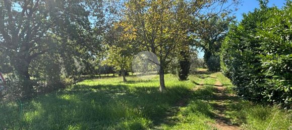 Terrain à Gallese, Italy 44010m² No. 371404 19