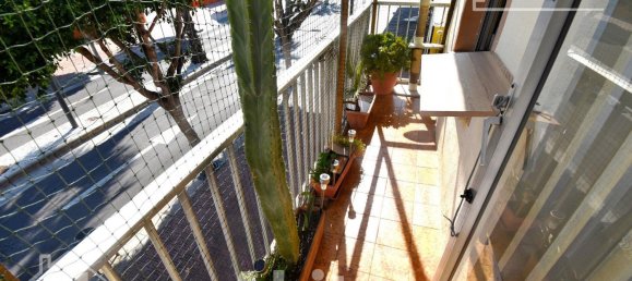 7 bedrooms House in Castellon, Spain No. 31491 21