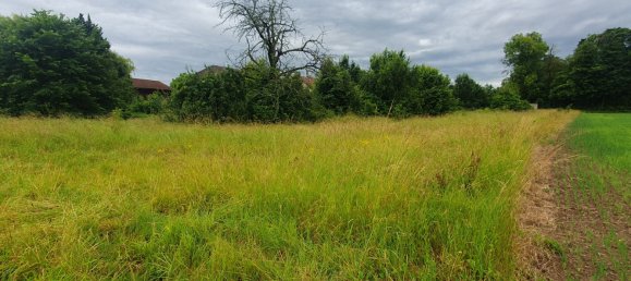  Land in Favresse, France No. 275772 3