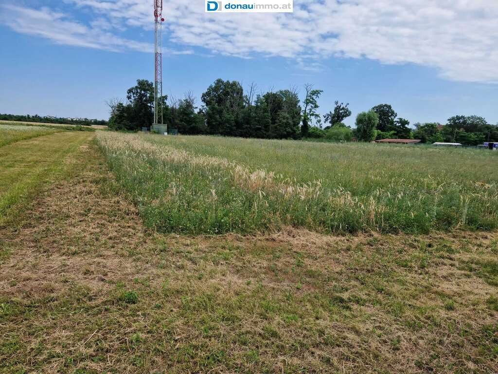 6000m² Land in Theresienfeld, Austria No. 18082