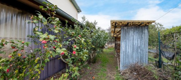 4 bedrooms Land in Labarthe-sur-Leze, France No. 197021 6