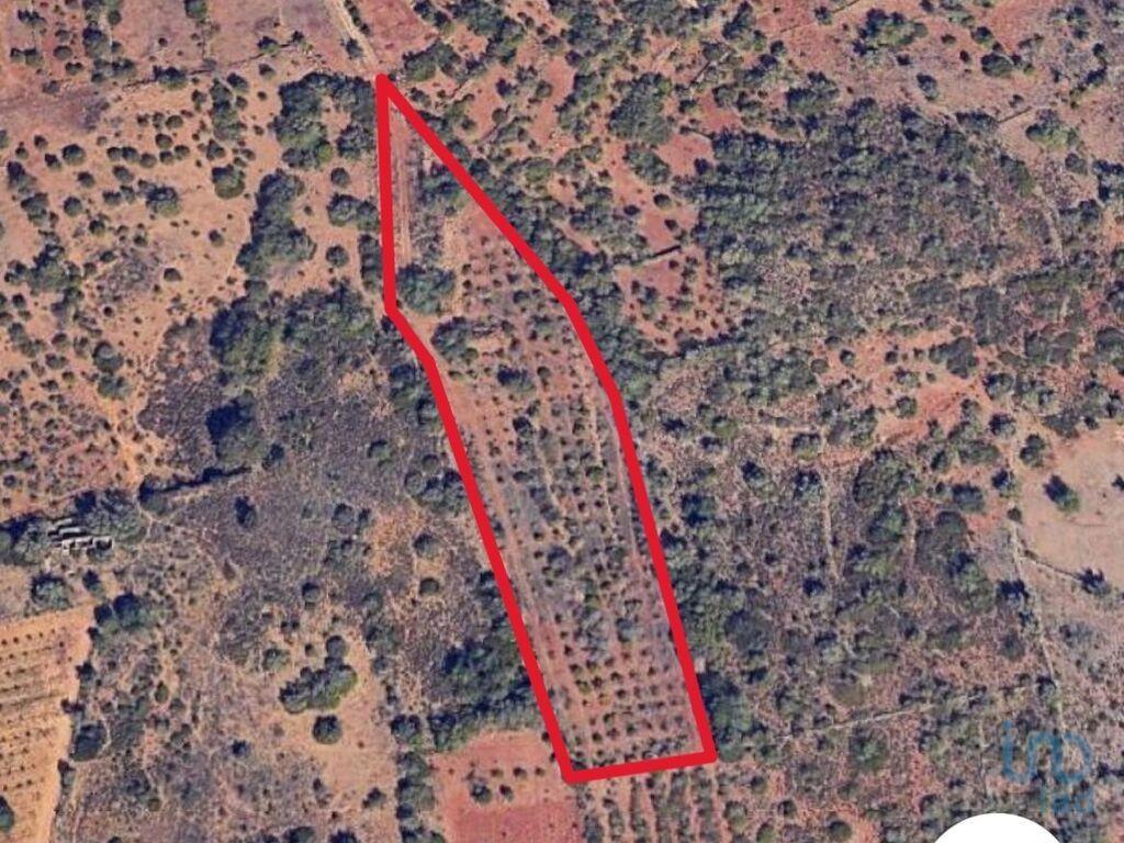  Land in Silves, Portugal No. 287114