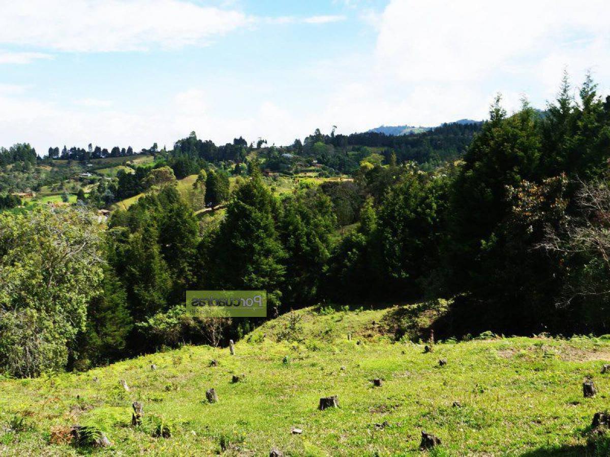  Land in Antioquia, Colombia No. 625