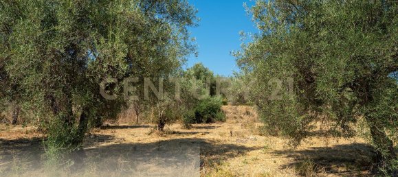 6 غرف نوم فيلا في Belpasso, Italy رقم 327707 18