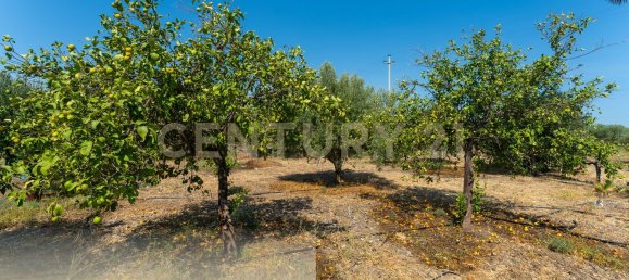 6 غرف نوم فيلا في Belpasso, Italy رقم 327707 3