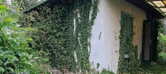 Grundstück in Deutsch-Wagram, Austria, Nr. 201967 2