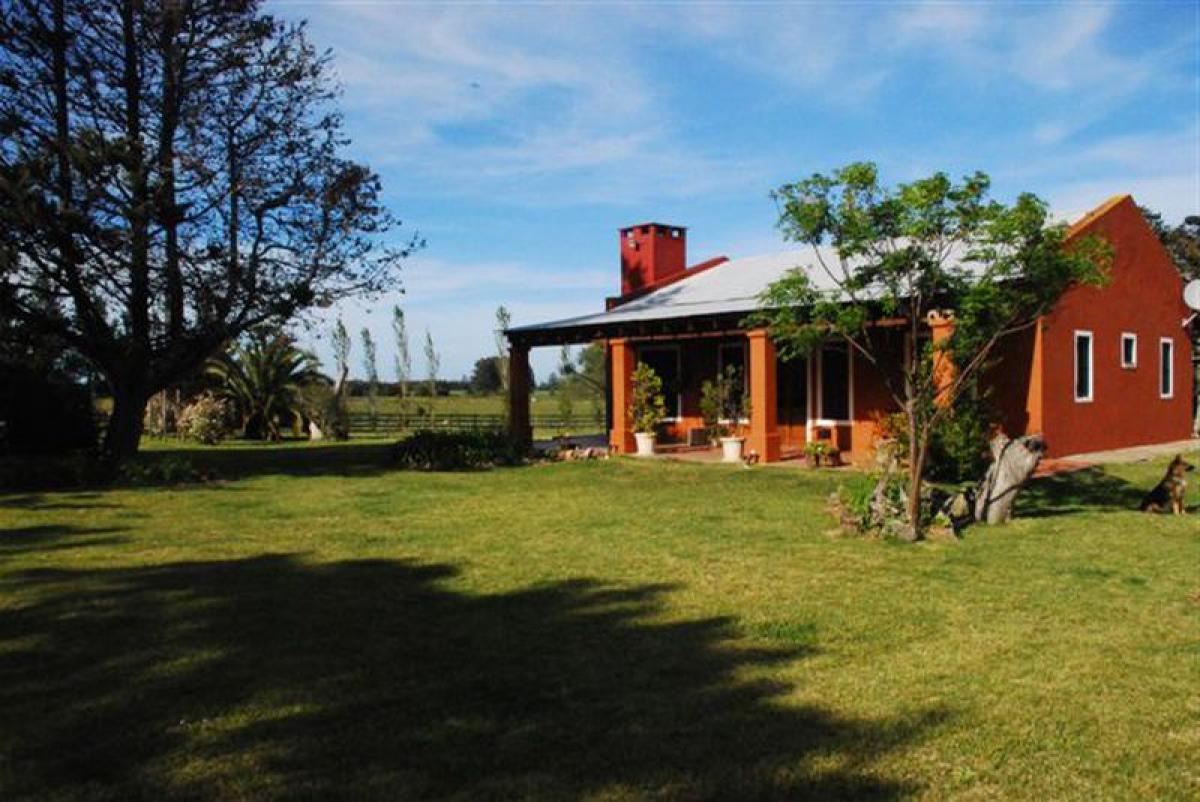 Bauernhof in Maldonado, Uruguay 52m², Nr. 15615