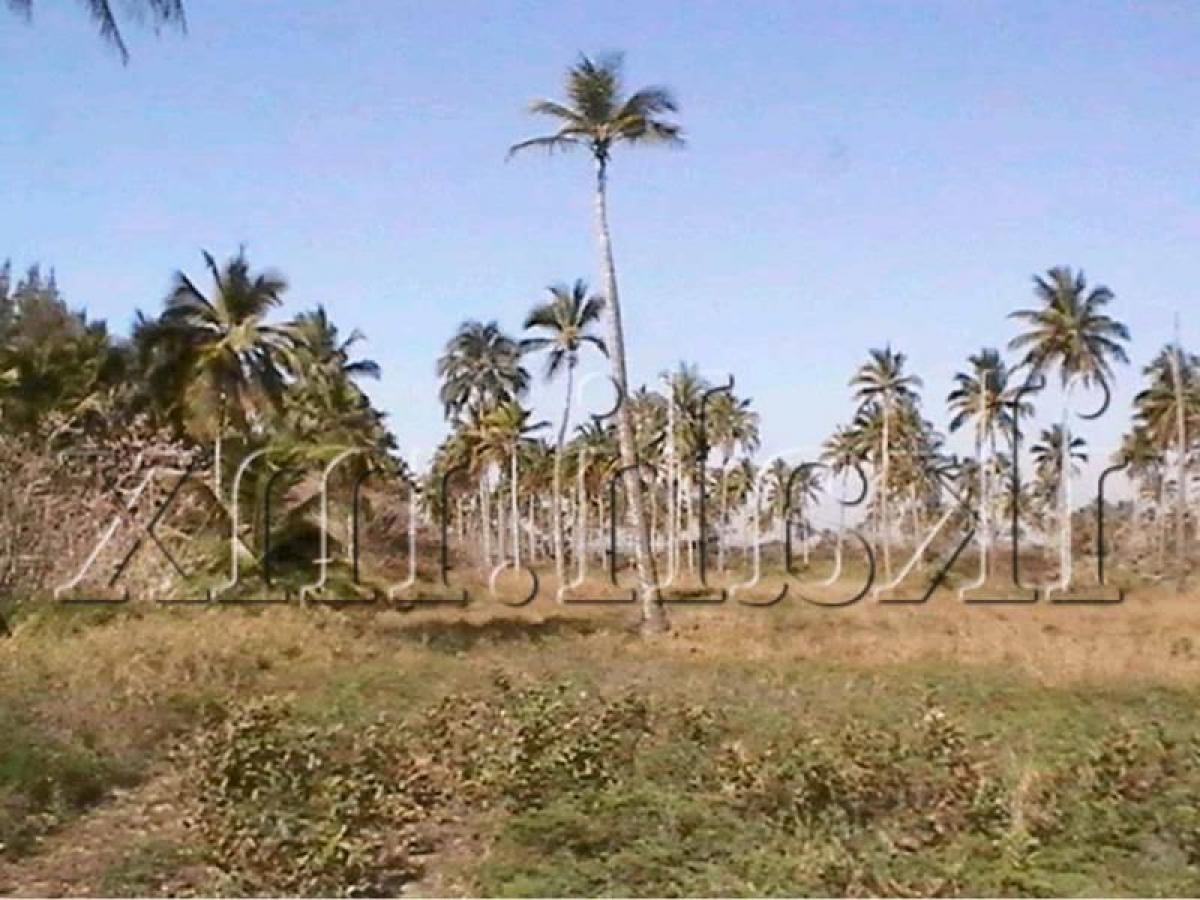 Земельный участок в Веракрус, Мексика № 202720