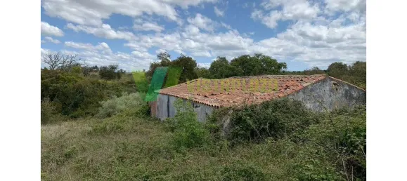 221500m² Land in Sao Teotonio, Portugal No. 49701 25