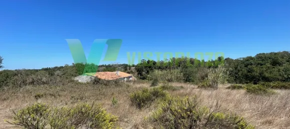221500m² Land in Sao Teotonio, Portugal No. 49701 23