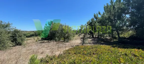221500m² Land in Sao Teotonio, Portugal No. 49701 20