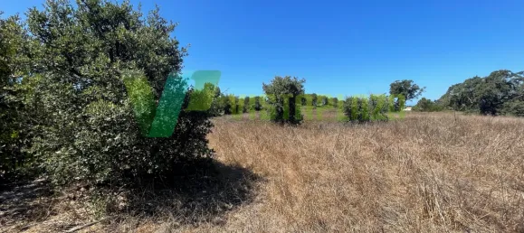 221500m² Land in Sao Teotonio, Portugal No. 49701 21