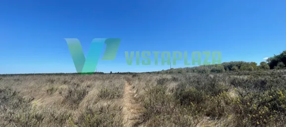 221500m² Land in Sao Teotonio, Portugal No. 49701 15