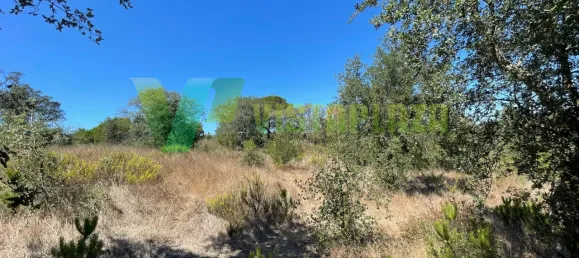 221500m² Land in Sao Teotonio, Portugal No. 49701 24