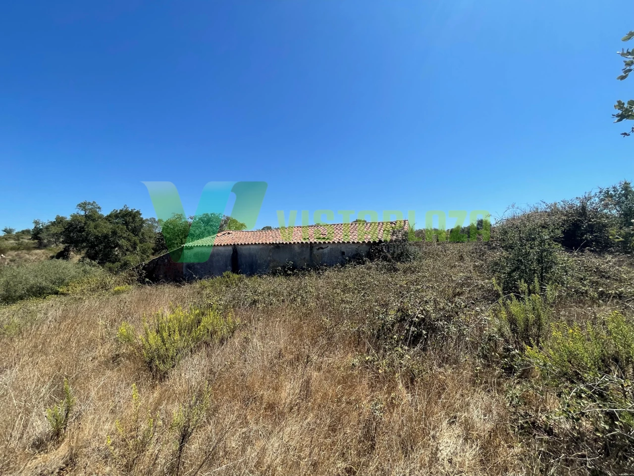 221500m² Land in Sao Teotonio, Portugal No. 49701