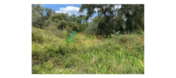 221500m² Land in Sao Teotonio, Portugal No. 49701 11