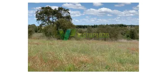 221500m² Land in Sao Teotonio, Portugal No. 49701 8