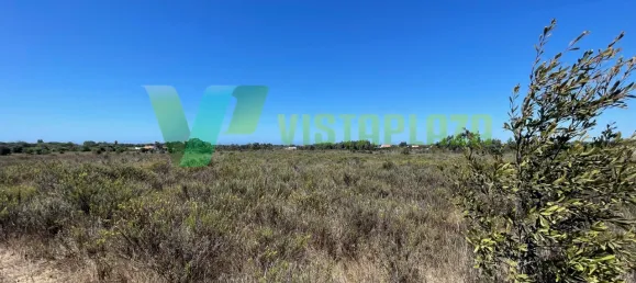 221500m² Land in Sao Teotonio, Portugal No. 49701 19