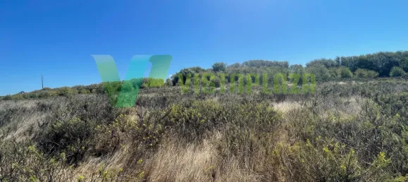 221500m² Land in Sao Teotonio, Portugal No. 49701 14