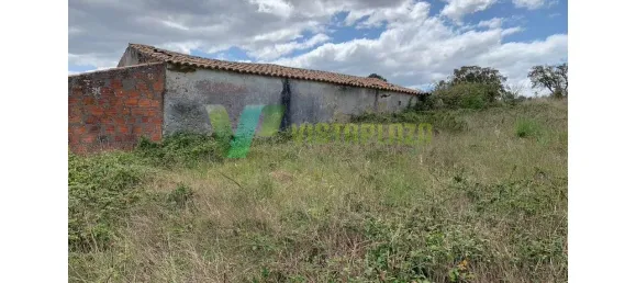 221500m² Land in Sao Teotonio, Portugal No. 49701 5