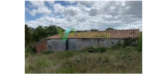 221500m² Land in Sao Teotonio, Portugal No. 49701 2
