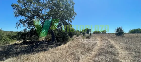 221500m² Land in Sao Teotonio, Portugal No. 49701 22