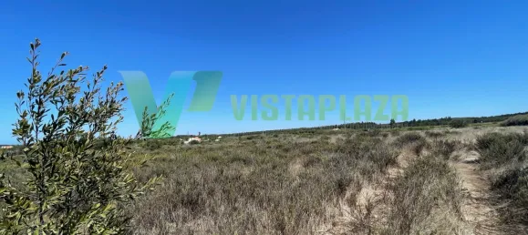 221500m² Land in Sao Teotonio, Portugal No. 49701 18