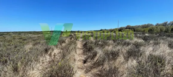 221500m² Land in Sao Teotonio, Portugal No. 49701 16