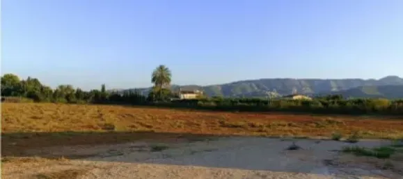 Terrain à Ondara, Spain 10000m² No. 135777 4