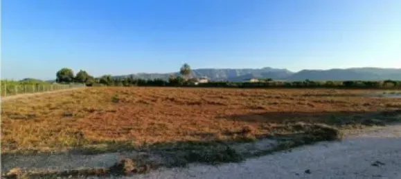 Terrain à Ondara, Spain 10000m² No. 135777 6