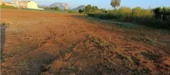 Terrain à Ondara, Spain 10000m² No. 135777 5