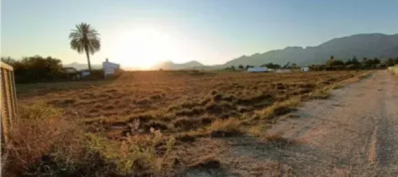 Terrain à Ondara, Spain 10000m² No. 135777 11