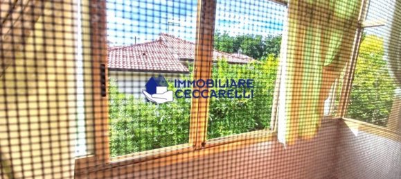 2غرفة منزل في Massa, Italy رقم 286191 13