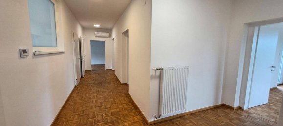 3 chambres Penthouse à Winzendorf-Muthmannsdorf, Austria No. 220990 15