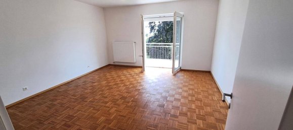 3 chambres Penthouse à Winzendorf-Muthmannsdorf, Austria No. 220990 9