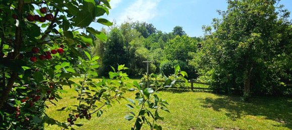 1 chambre Appartement à Velden am Worther See, Austria No. 169931 43