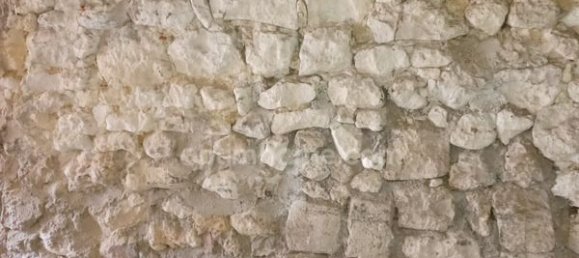 Studio in Brandeville, France No. 236992 7