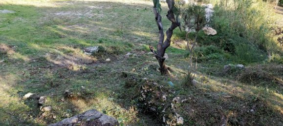 5 rooms House in Maratea, Italy No. 29763 14