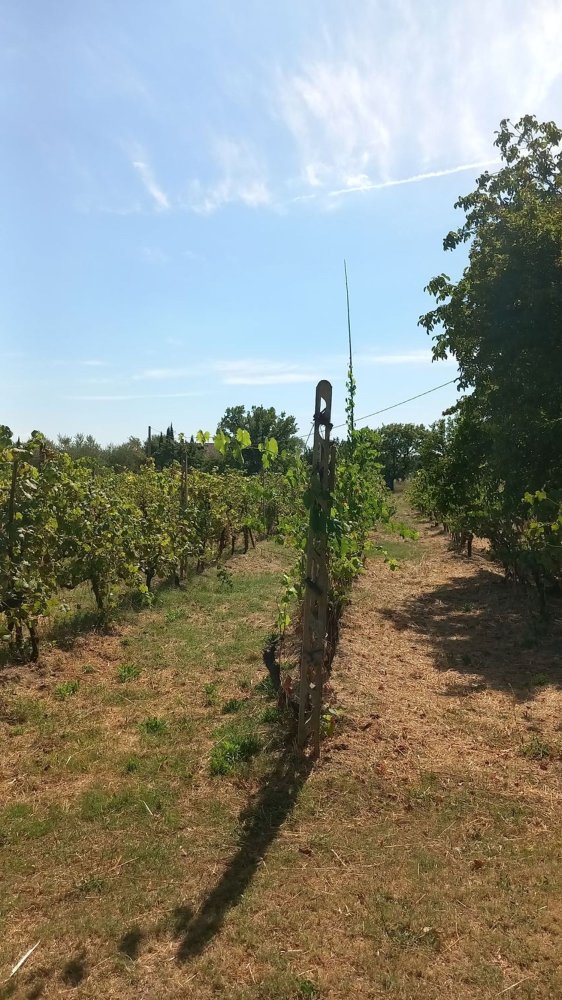 10 rooms Duplex in Castiglion Fiorentino, Italy No. 169106