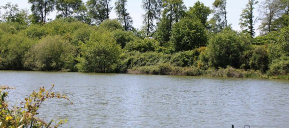 Terrain à Mayenne, France No. 357635 3